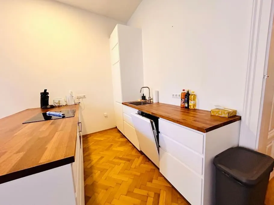 Geraeumiges Apartment Im Wiener Altbauflair Vienna
